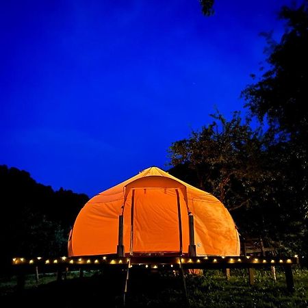 Flore's Garden Glamping Bran  Buitenkant foto