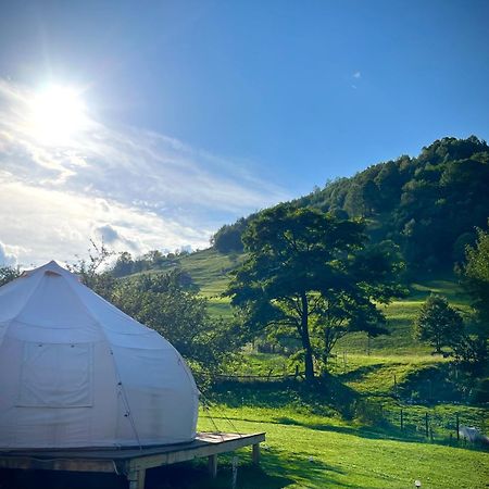 Flore's Garden Glamping Bran  Buitenkant foto