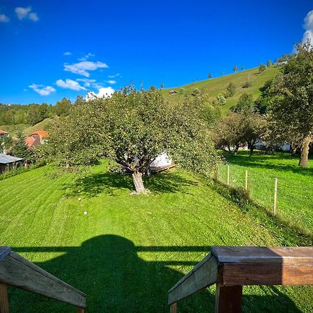Flore's Garden Glamping Bran  Buitenkant foto