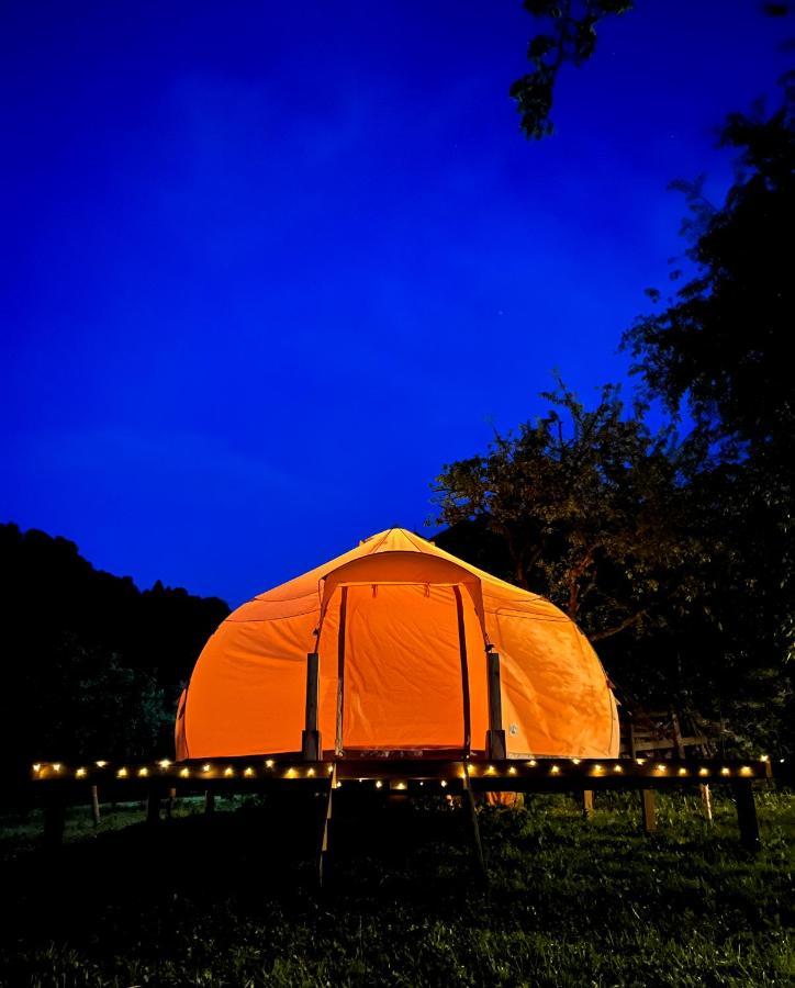 Flore's Garden Glamping Bran  Buitenkant foto