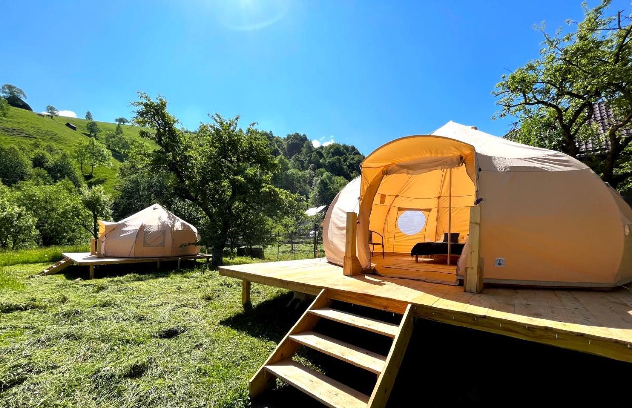 Flore's Garden Glamping Bran  Buitenkant foto