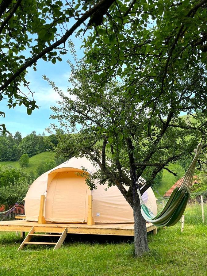 Flore's Garden Glamping Bran  Buitenkant foto