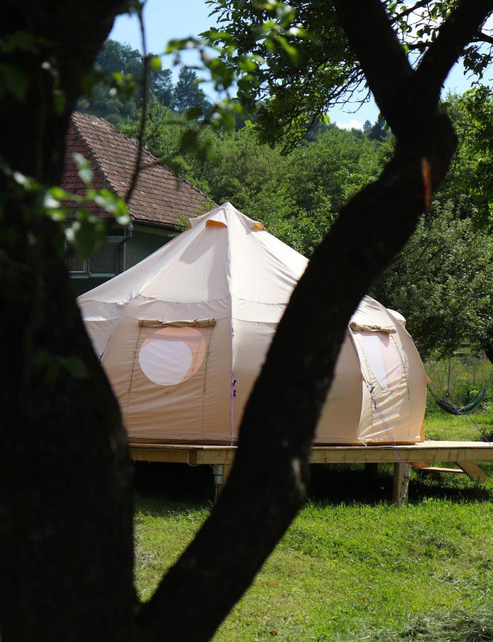 Flore's Garden Glamping Bran  Buitenkant foto