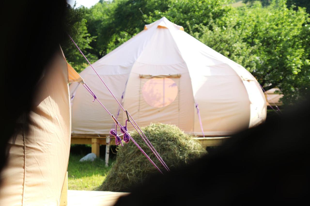 Flore's Garden Glamping Bran  Buitenkant foto