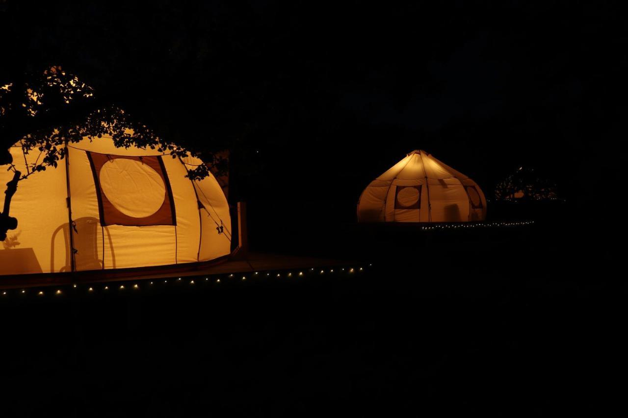 Flore's Garden Glamping Bran  Buitenkant foto