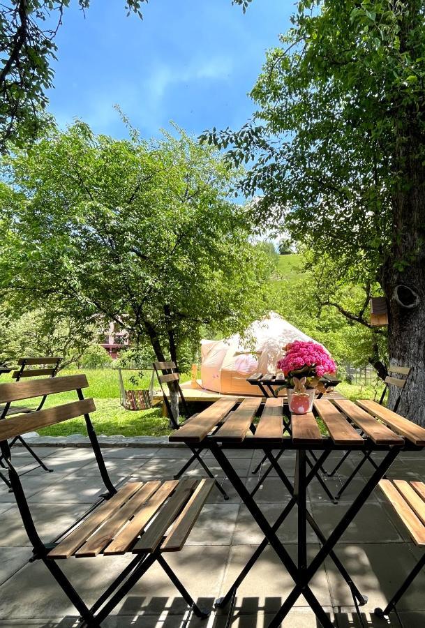 Flore's Garden Glamping Bran  Buitenkant foto