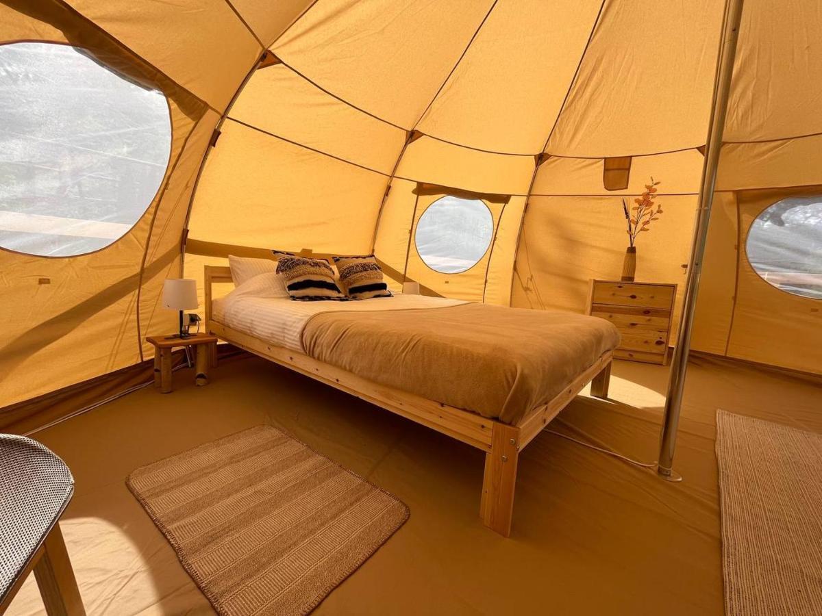 Flore's Garden Glamping Bran  Buitenkant foto