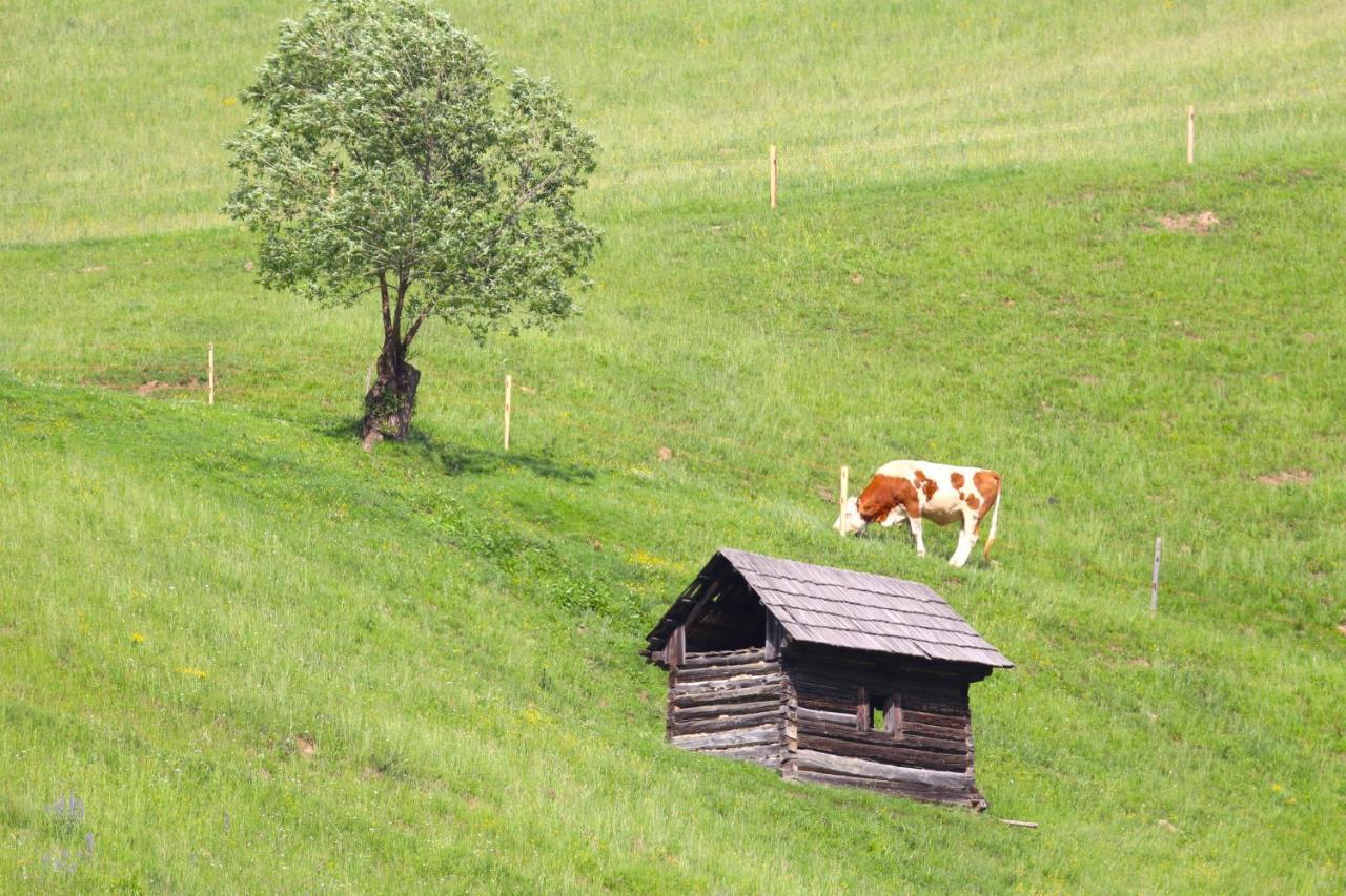 Flore's Garden Glamping Bran  Buitenkant foto