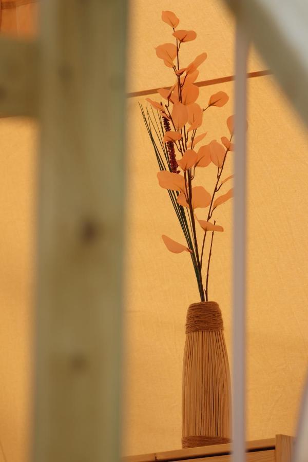 Flore's Garden Glamping Bran  Buitenkant foto