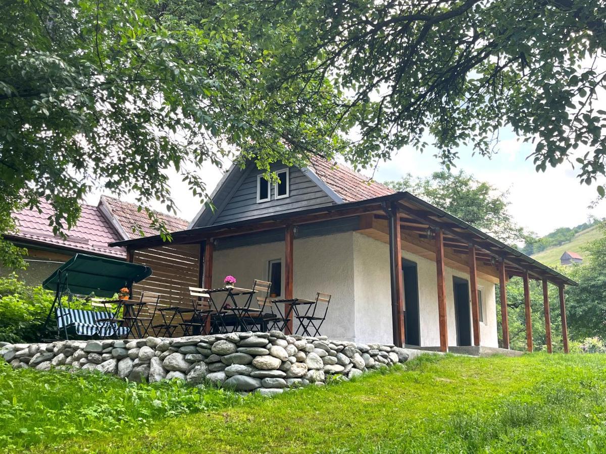 Flore's Garden Glamping Bran  Buitenkant foto