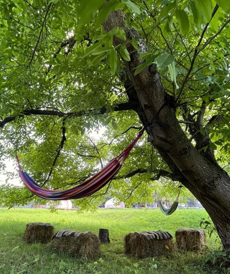 Flore's Garden Glamping Bran  Buitenkant foto