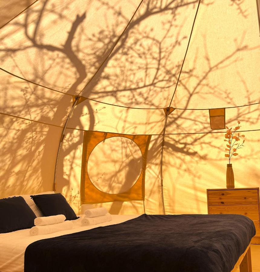 Flore's Garden Glamping Bran  Buitenkant foto