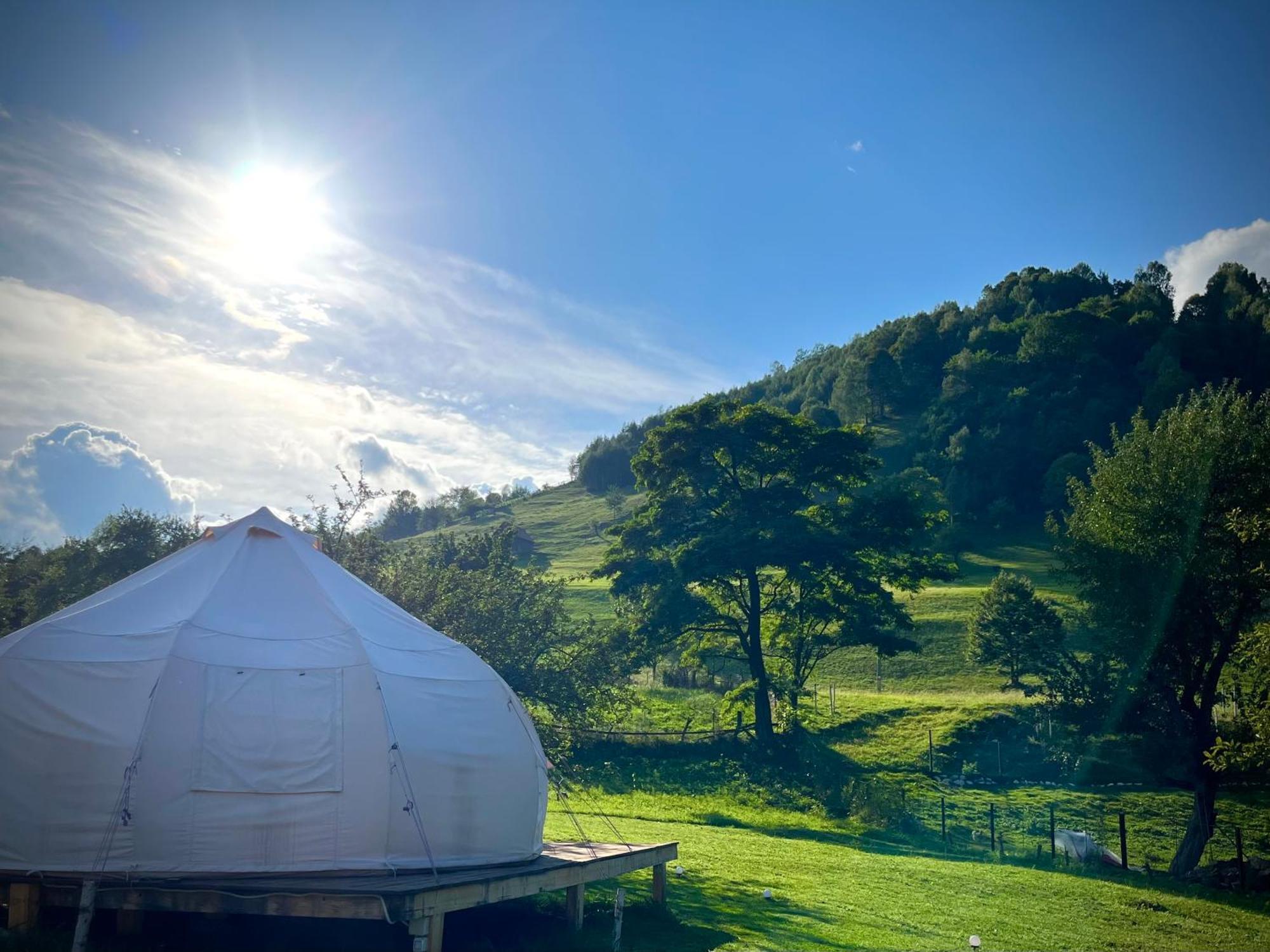 Flore's Garden Glamping Bran  Buitenkant foto