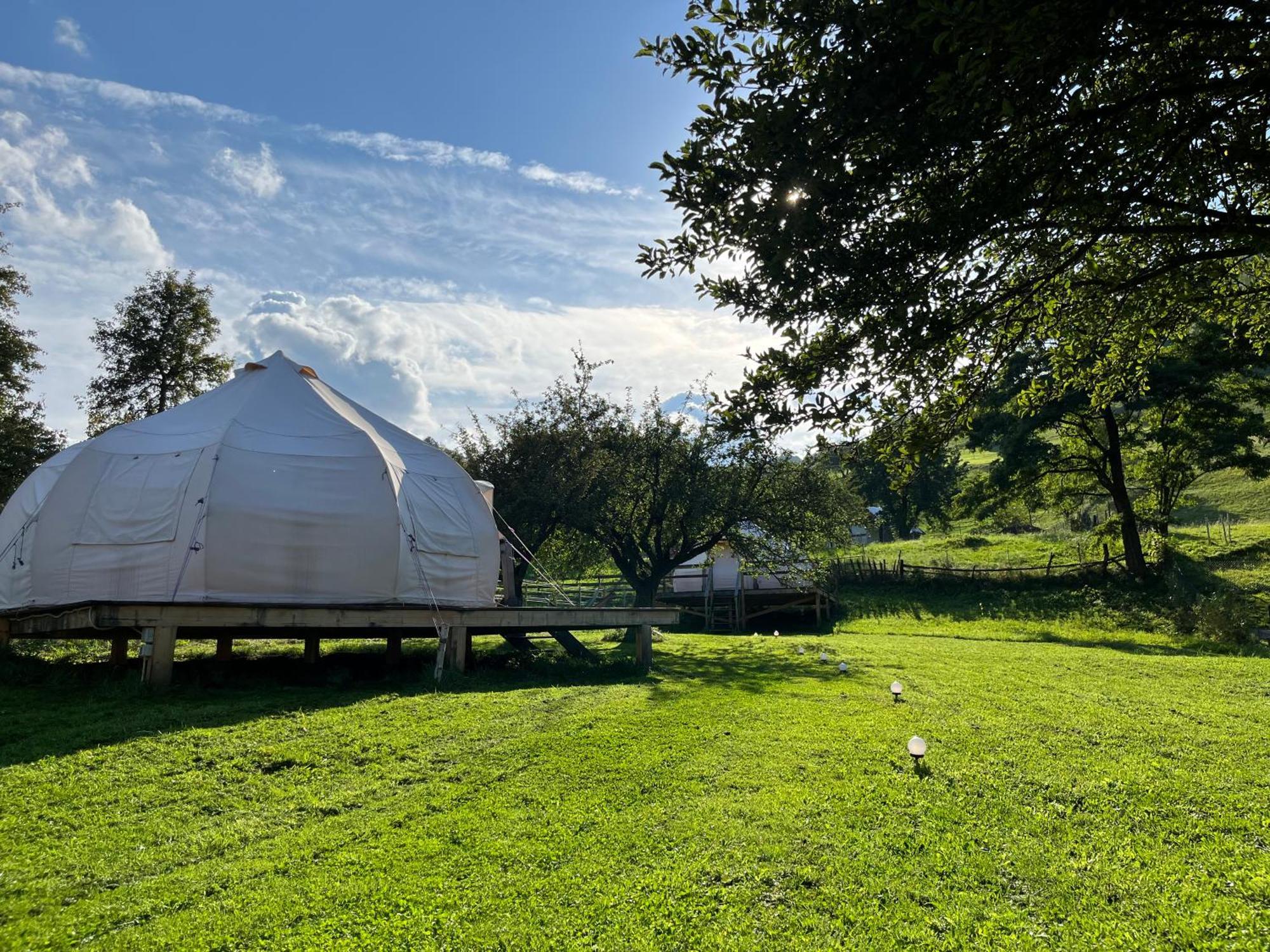 Flore's Garden Glamping Bran  Buitenkant foto
