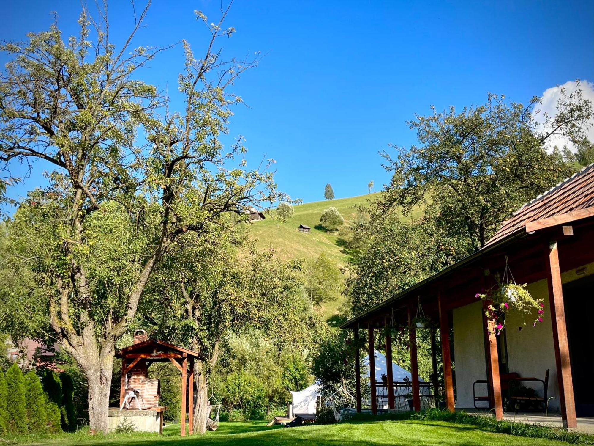 Flore's Garden Glamping Bran  Buitenkant foto