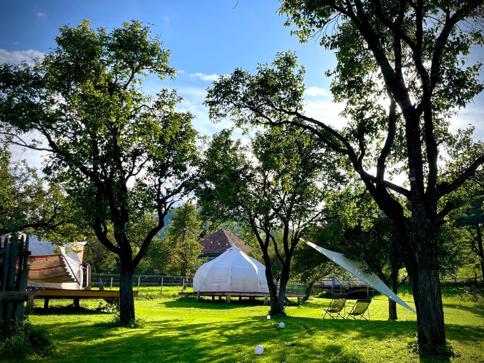 Flore's Garden Glamping Bran  Buitenkant foto