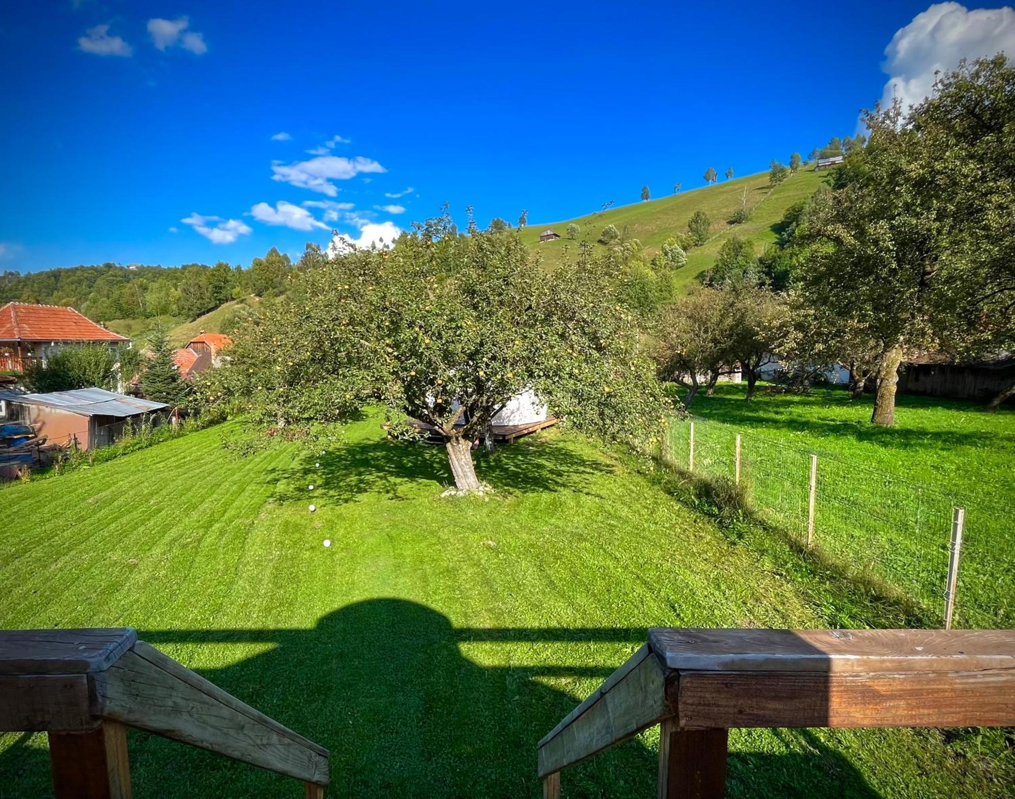 Flore's Garden Glamping Bran  Buitenkant foto